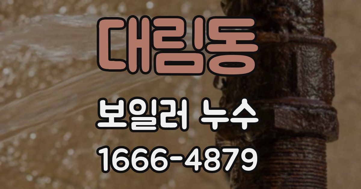 대림동 보일러 누수