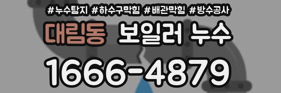 대림동 보일러 누수