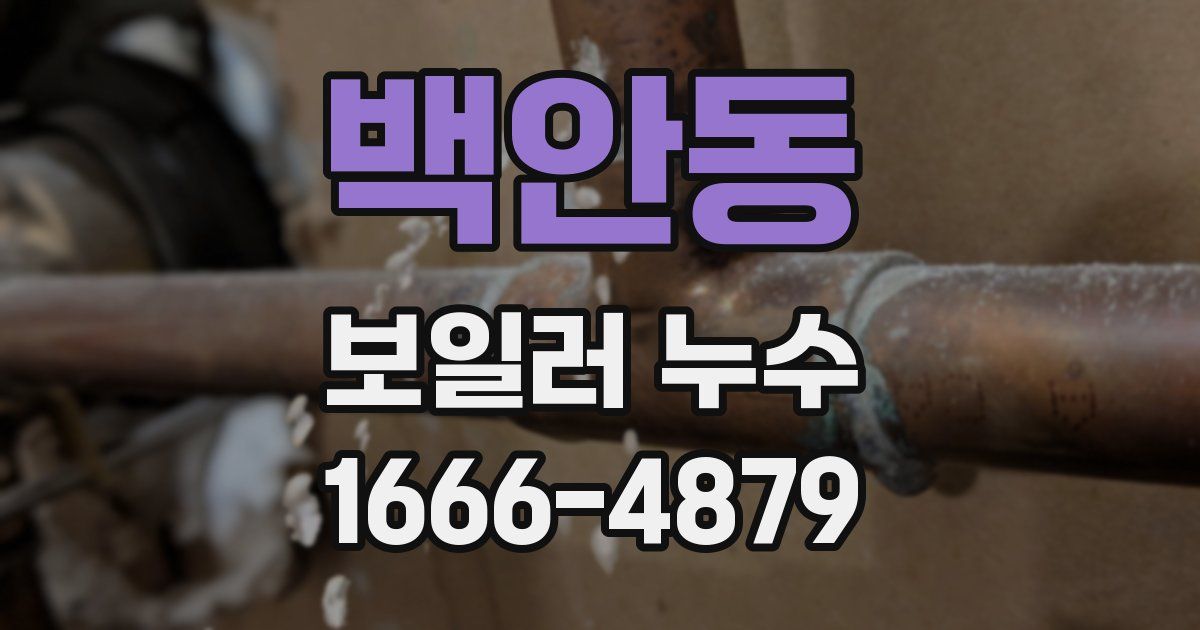 백안동 보일러 누수