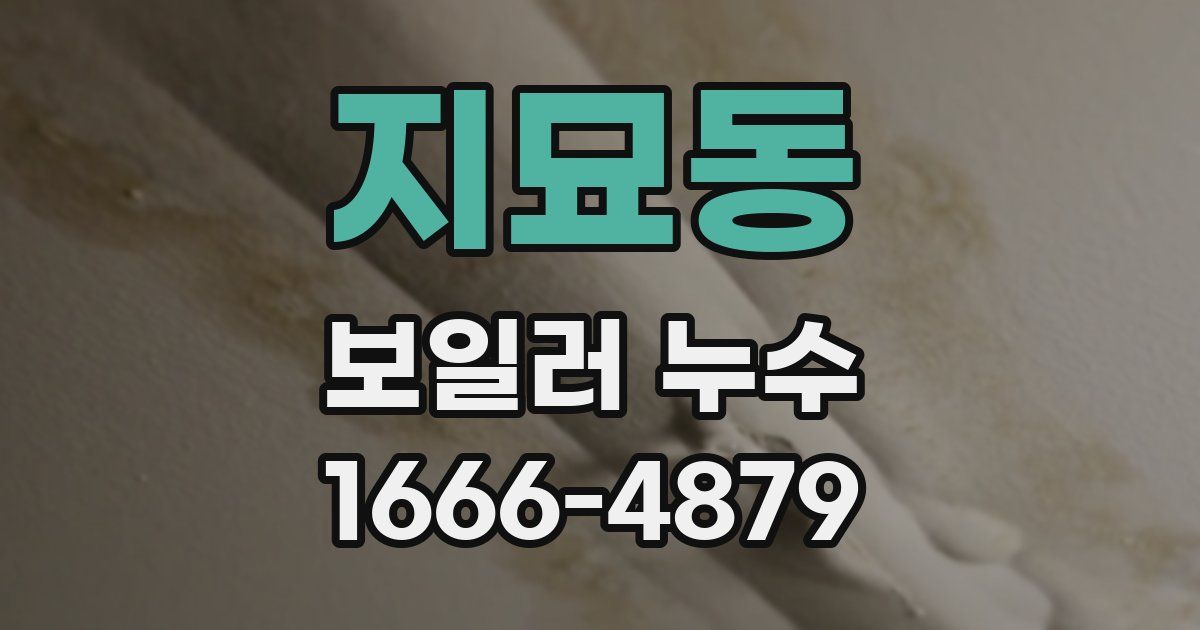 지묘동 보일러 누수
