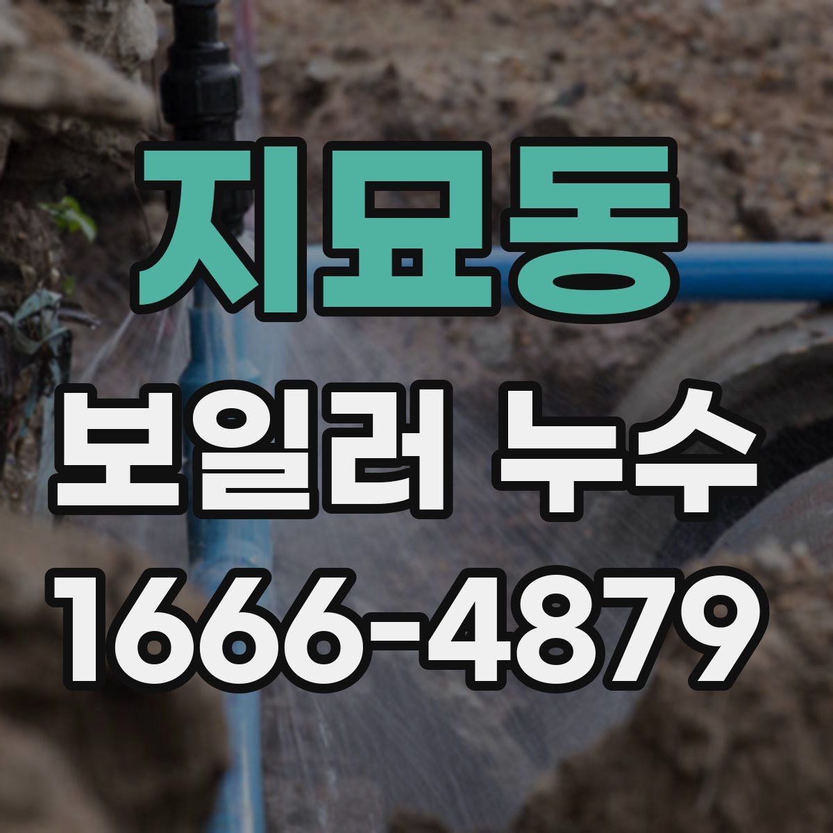 지묘동 보일러 누수
