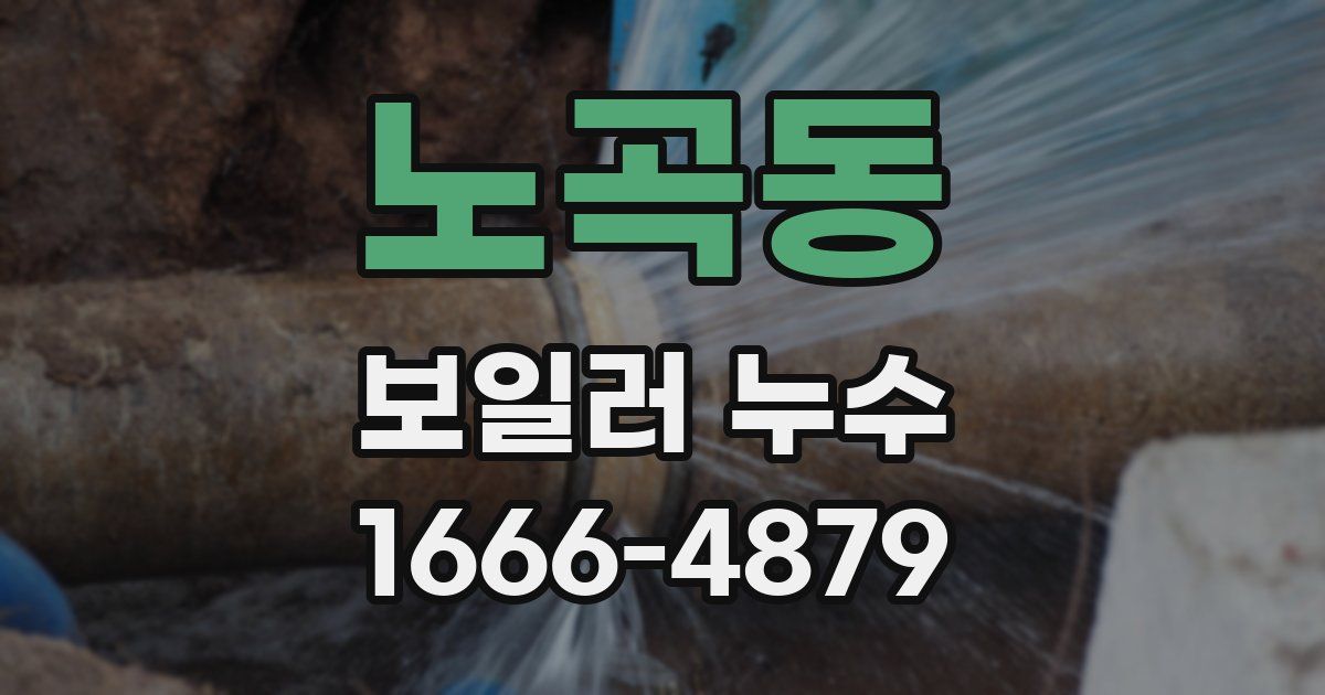 노곡동 보일러 누수