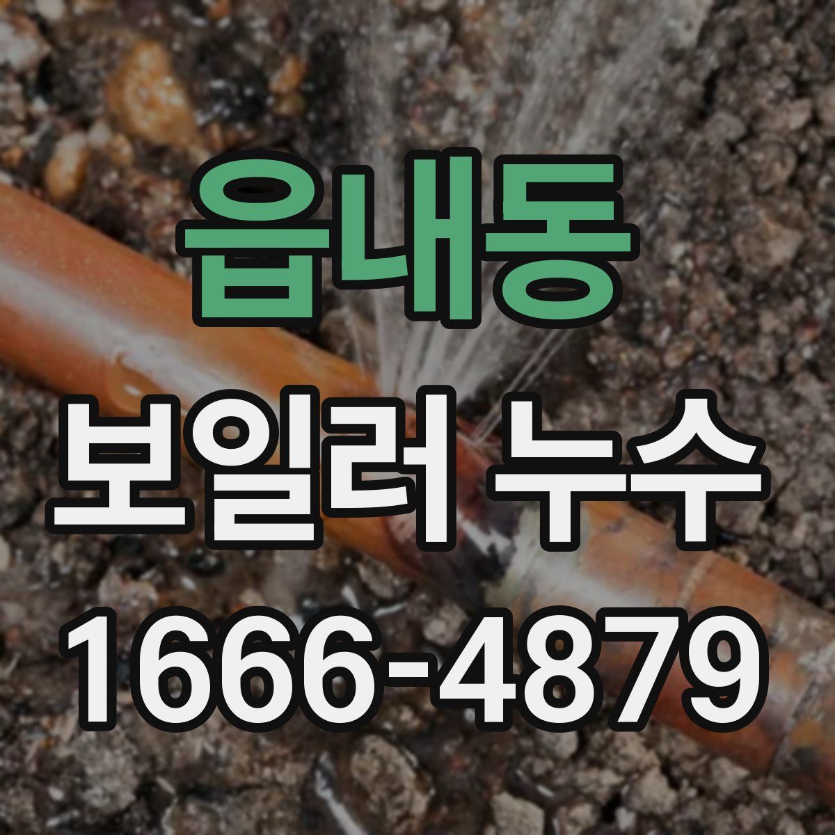 읍내동 보일러 누수