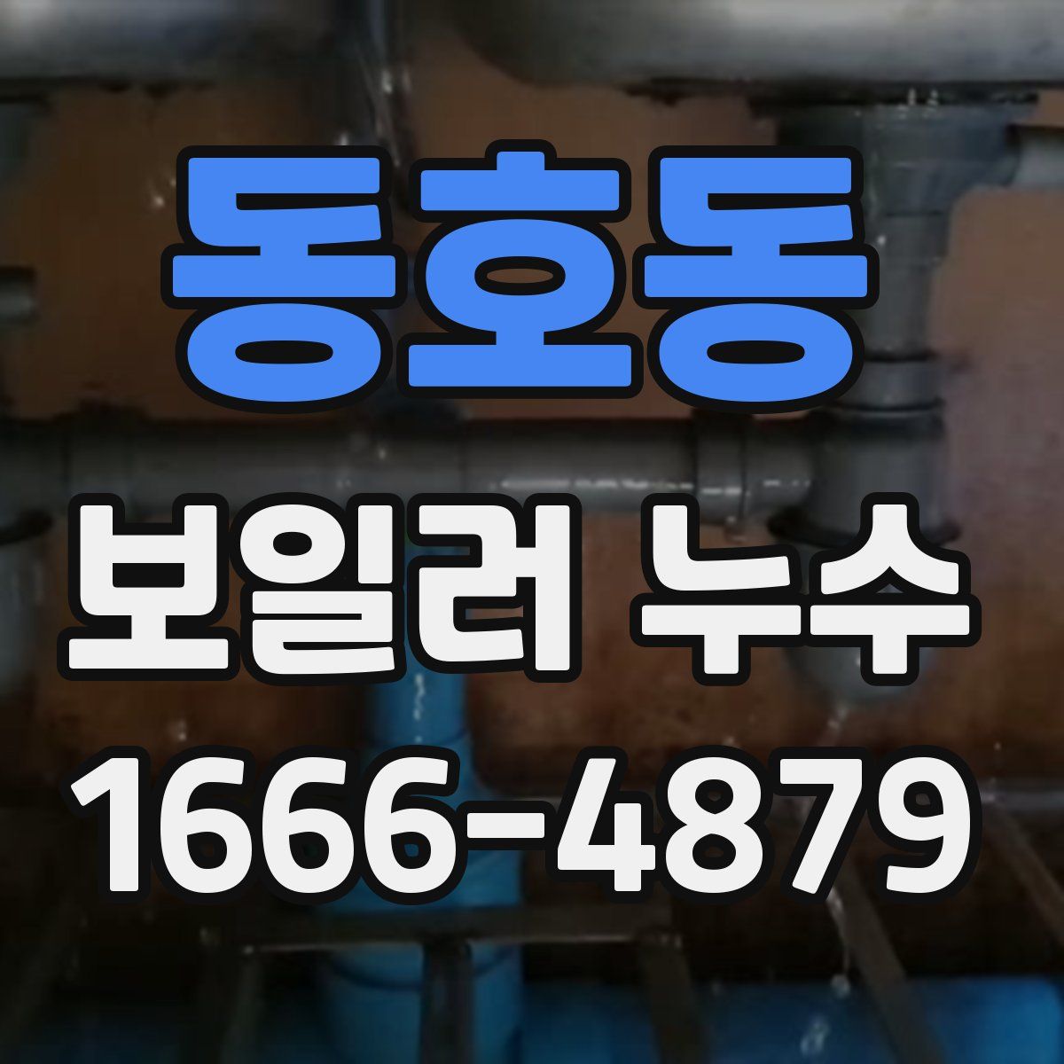 동호동 보일러 누수