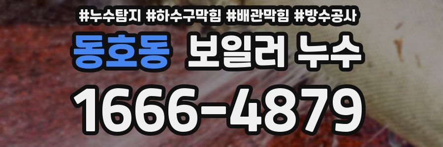 동호동 보일러 누수