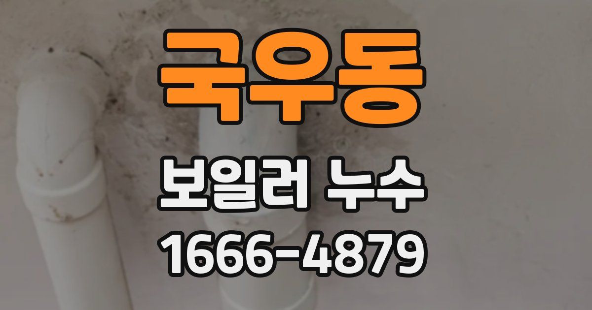 국우동 보일러 누수