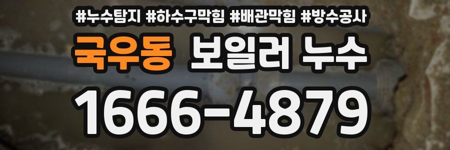 국우동 보일러 누수
