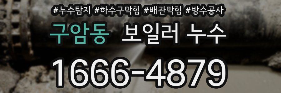 구암동 보일러 누수