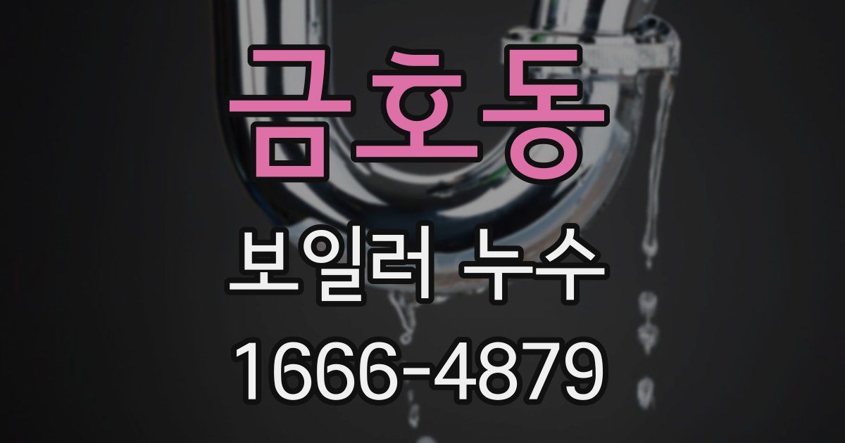 금호동 보일러 누수