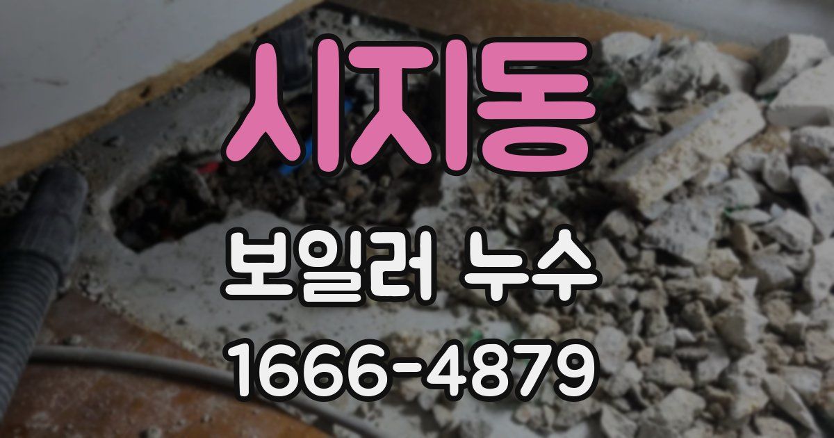 시지동 보일러 누수