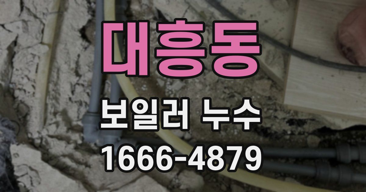 대흥동 보일러 누수