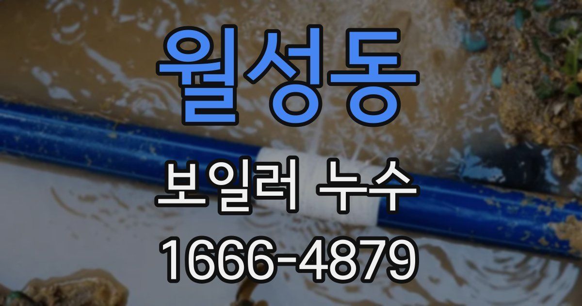 월성동 보일러 누수