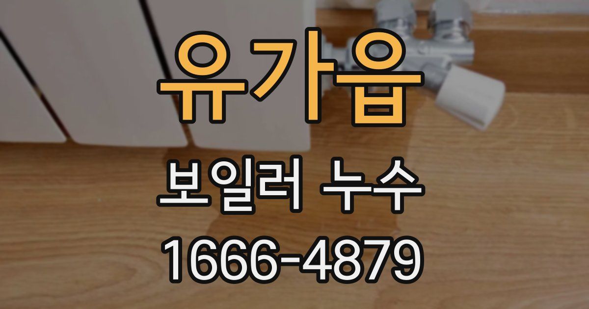유가읍 보일러 누수