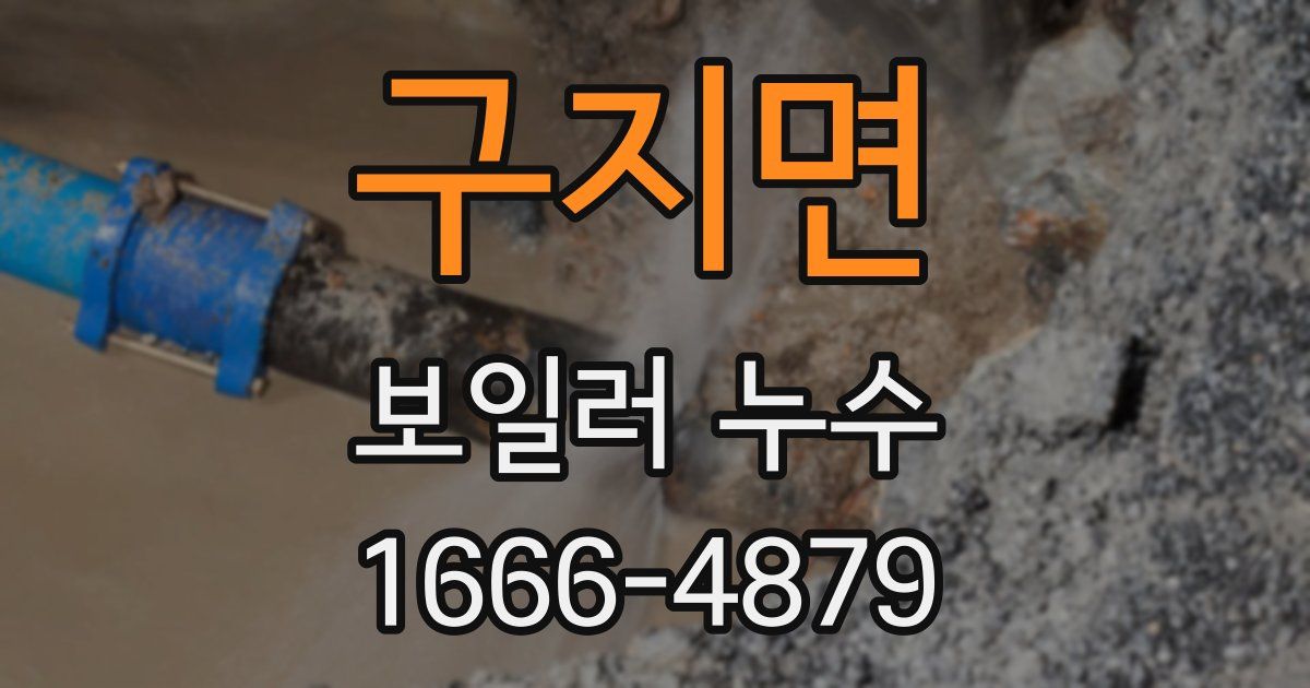구지면 보일러 누수