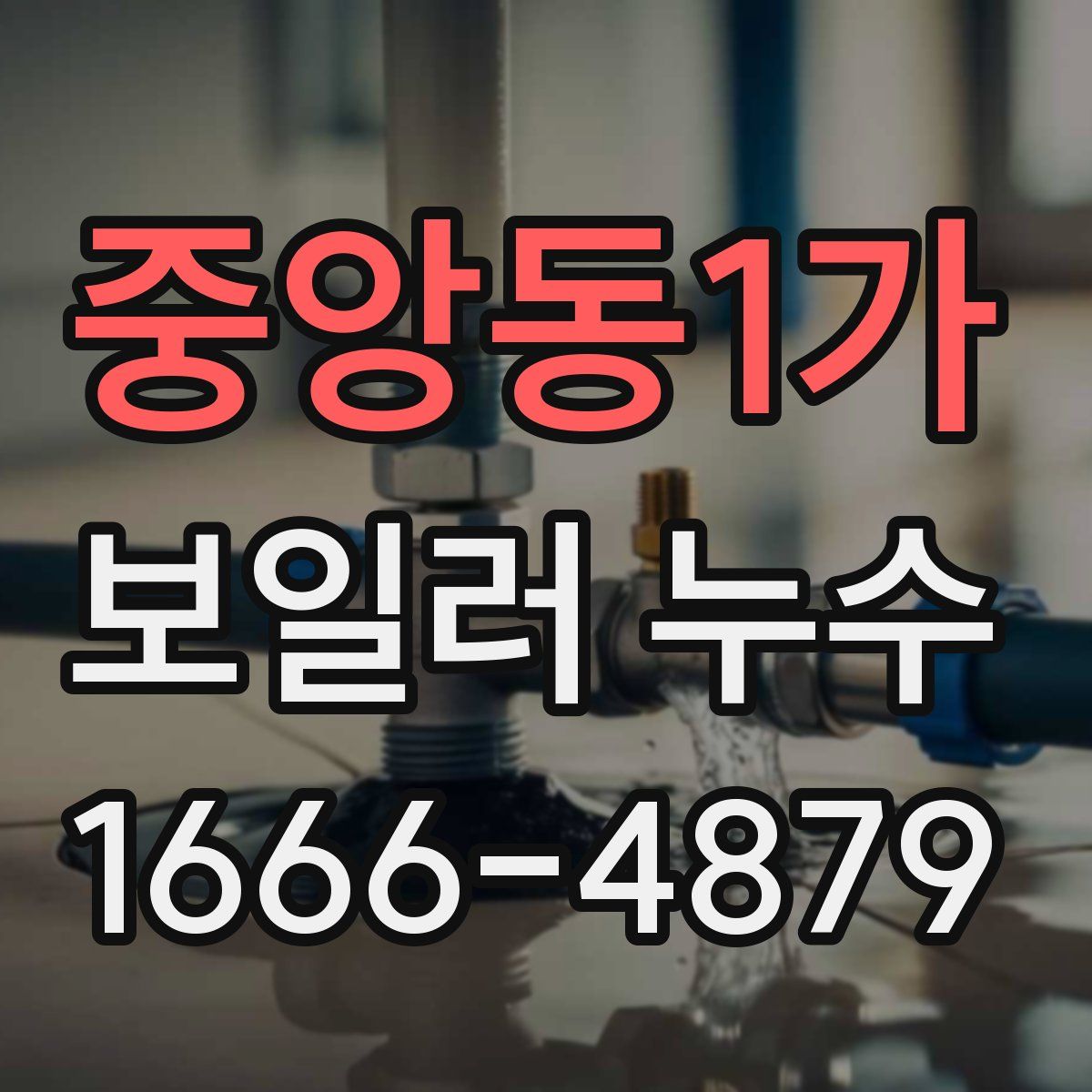 중앙동1가 보일러 누수