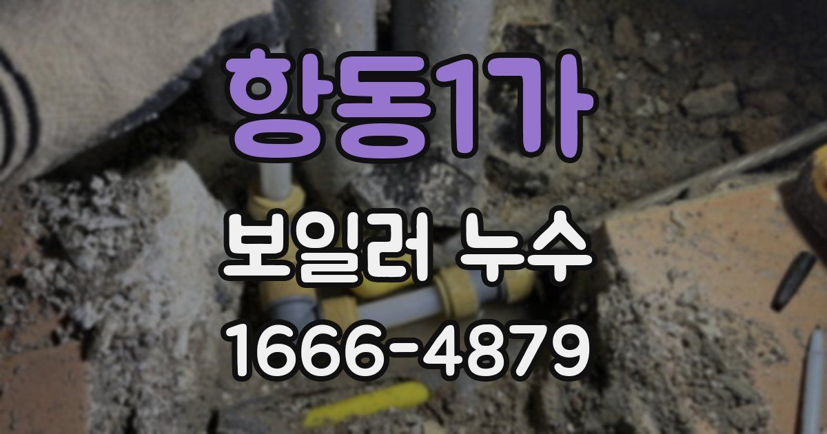 항동1가 보일러 누수