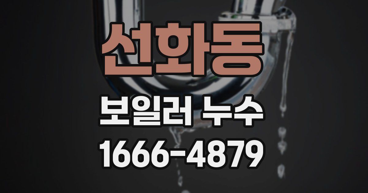선화동 보일러 누수