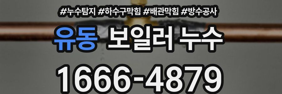유동 보일러 누수