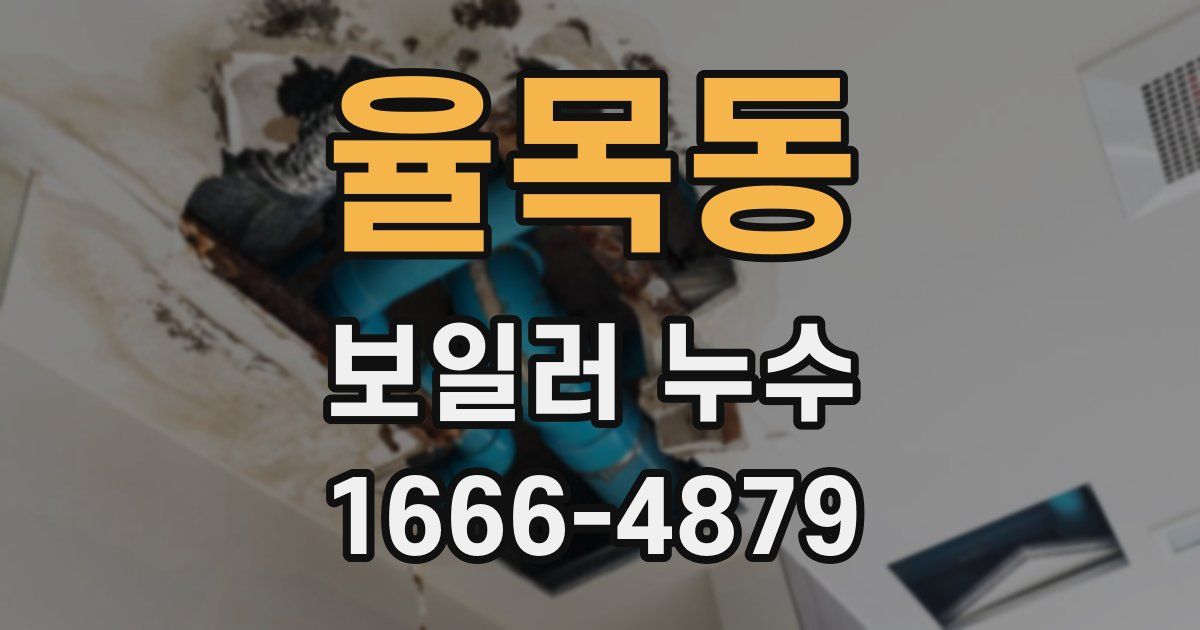 율목동 보일러 누수