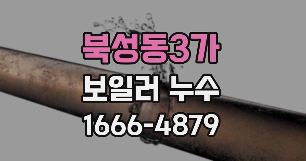 북성동3가 보일러 누수
