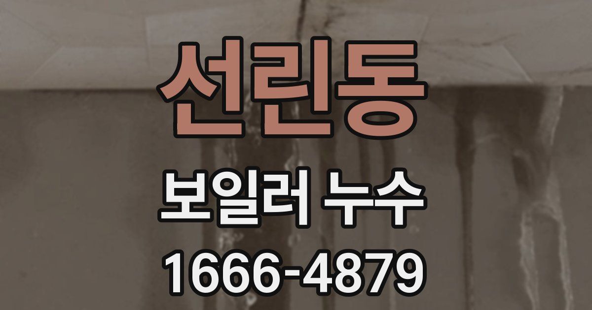 선린동 보일러 누수