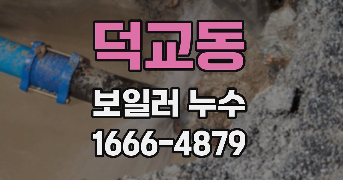 덕교동 보일러 누수