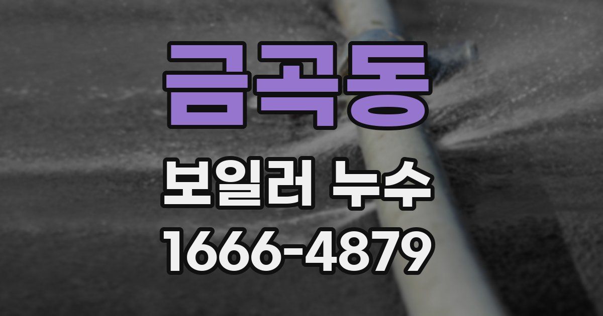 금곡동 보일러 누수