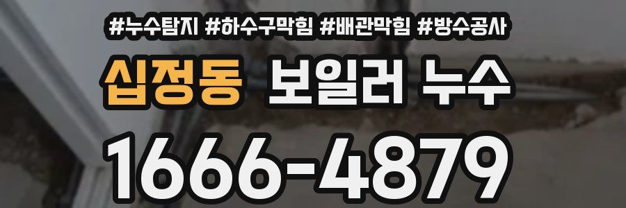 십정동 보일러 누수