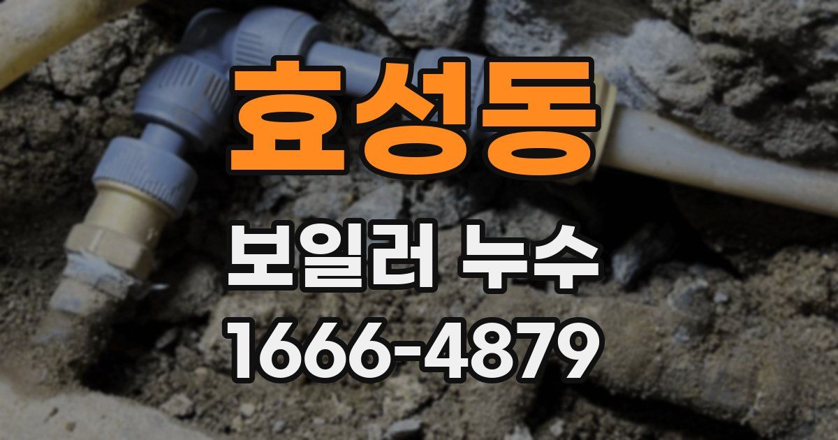 효성동 보일러 누수