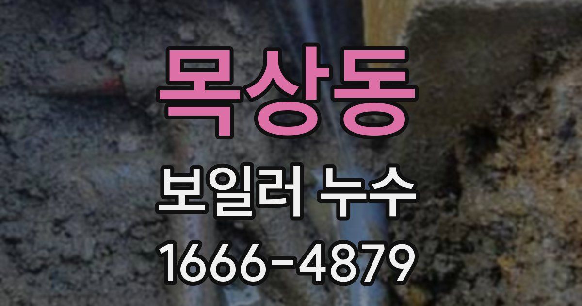목상동 보일러 누수