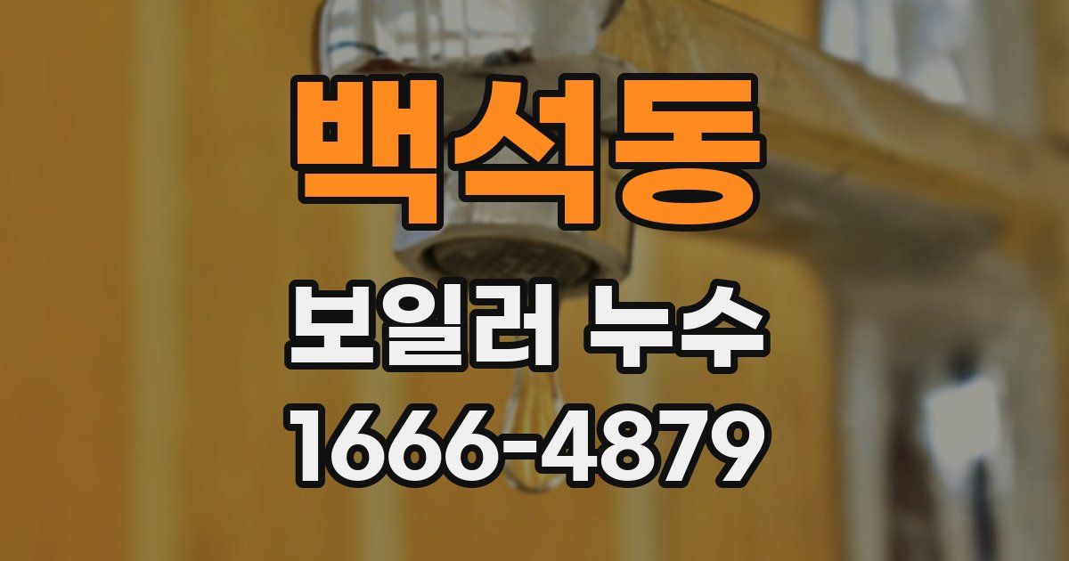 백석동 보일러 누수