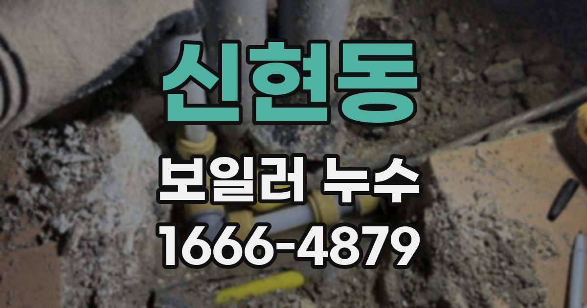 신현동 보일러 누수