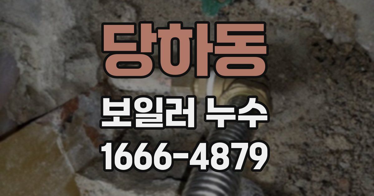당하동 보일러 누수