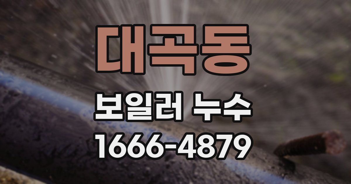 대곡동 보일러 누수