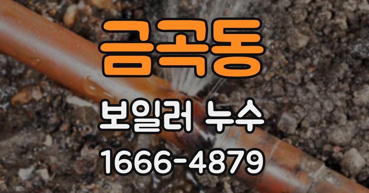 금곡동 보일러 누수