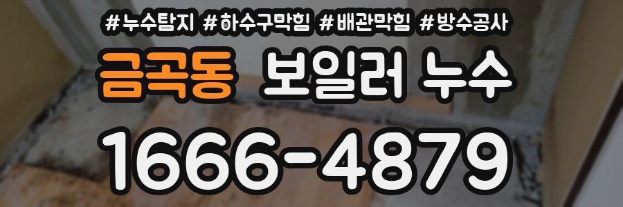 금곡동 보일러 누수