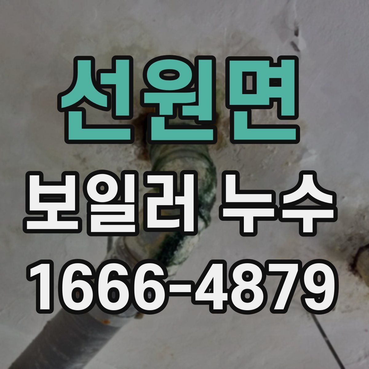 선원면 보일러 누수