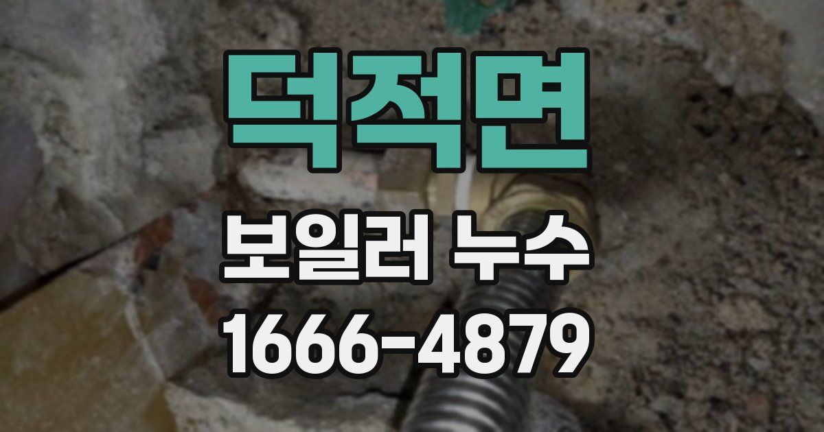 덕적면 보일러 누수
