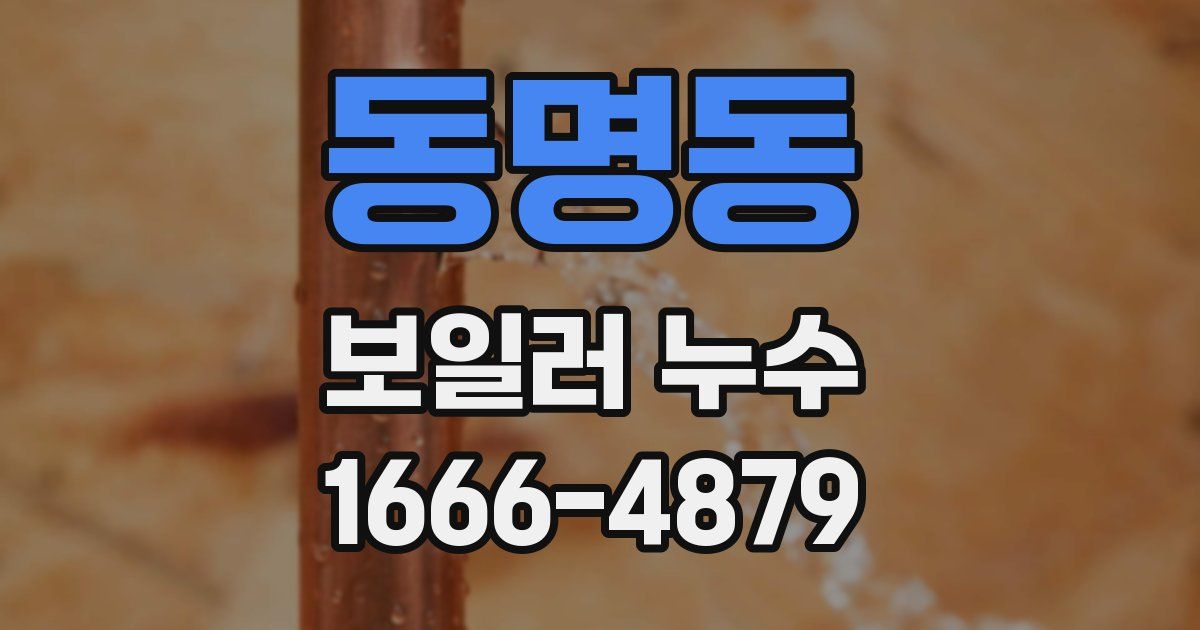 동명동 보일러 누수