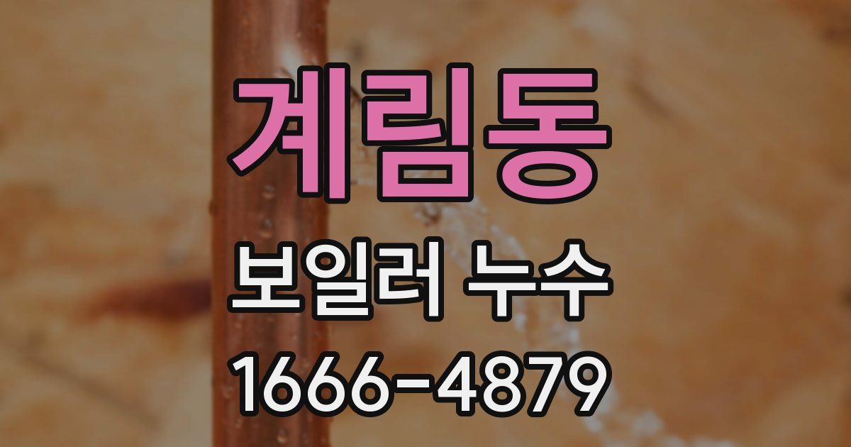 계림동 보일러 누수