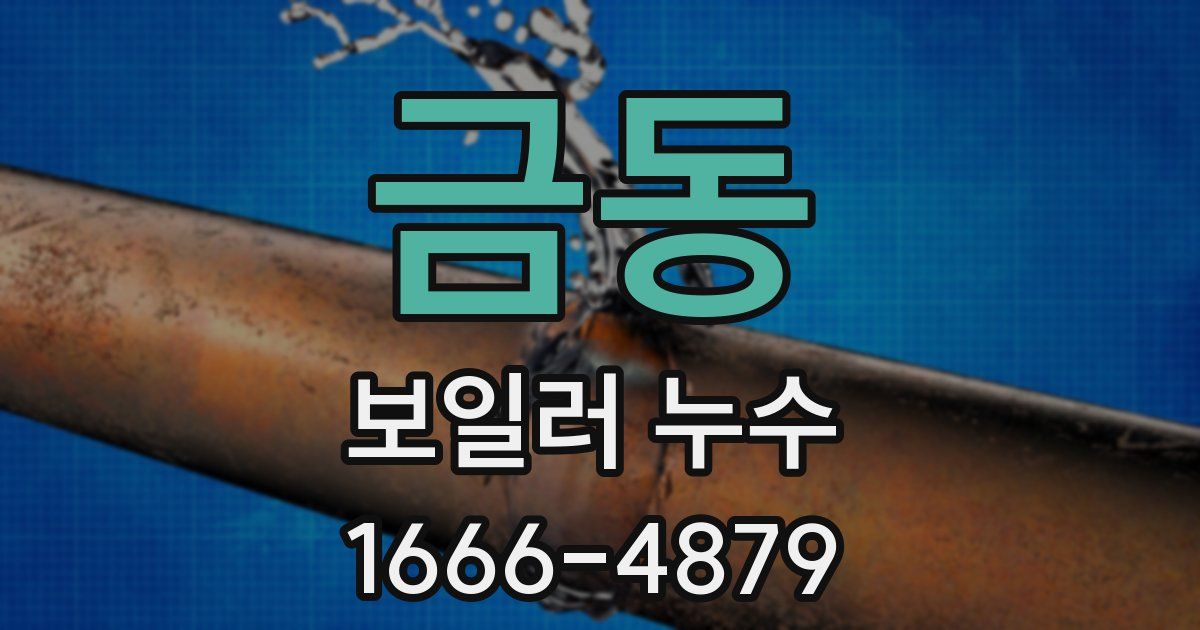 금동 보일러 누수