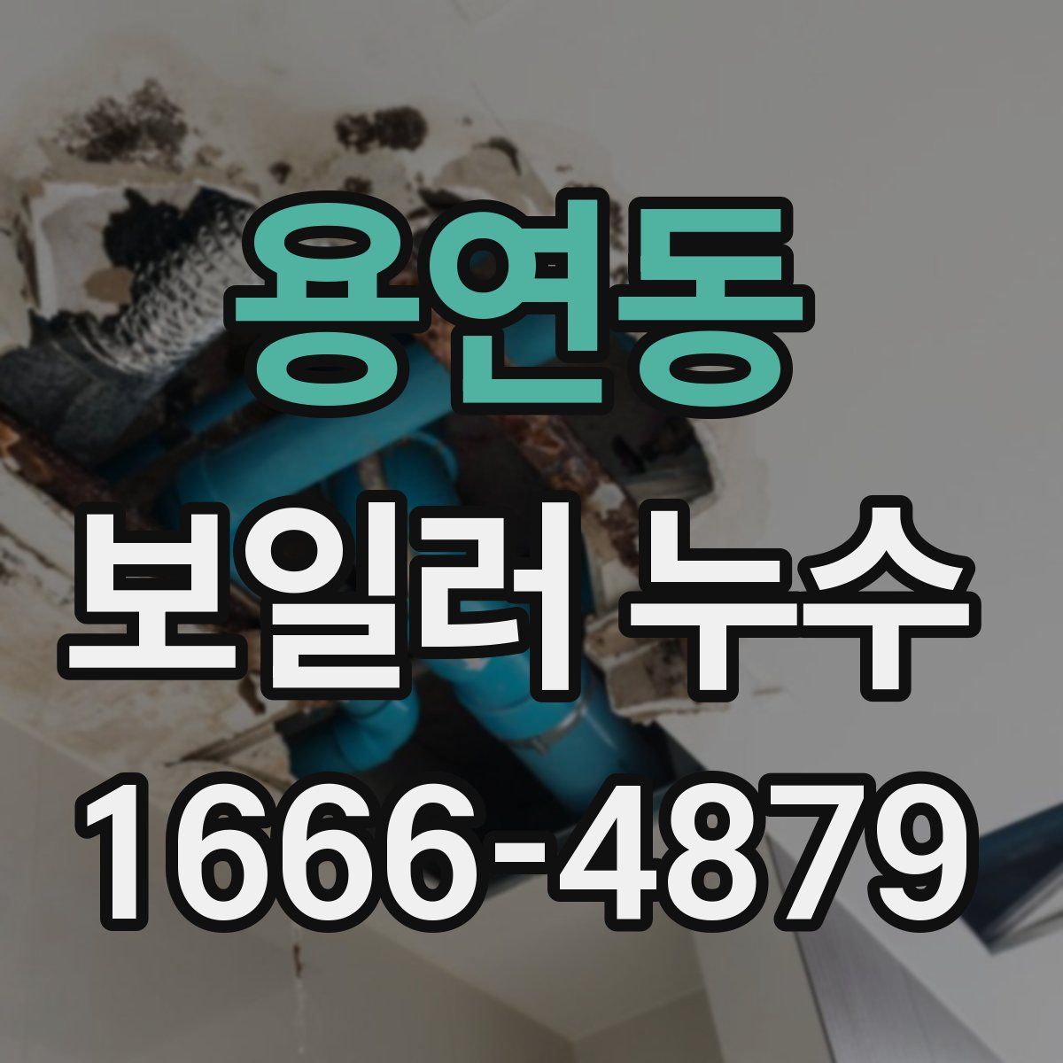 용연동 보일러 누수