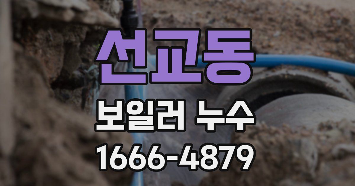 선교동 보일러 누수