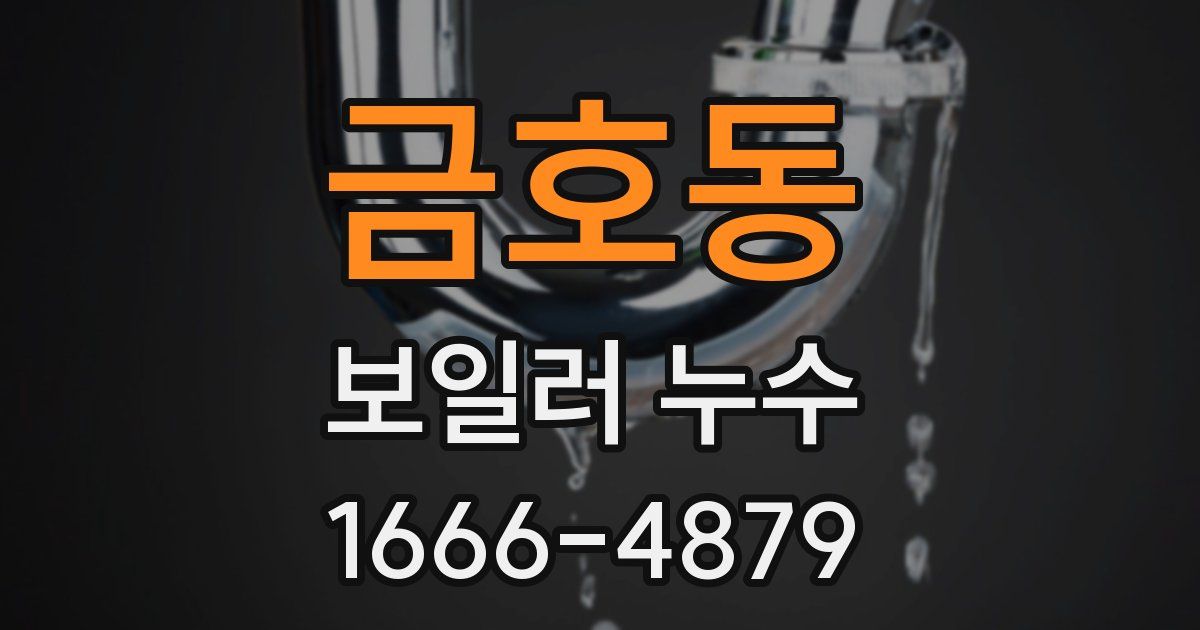 금호동 보일러 누수