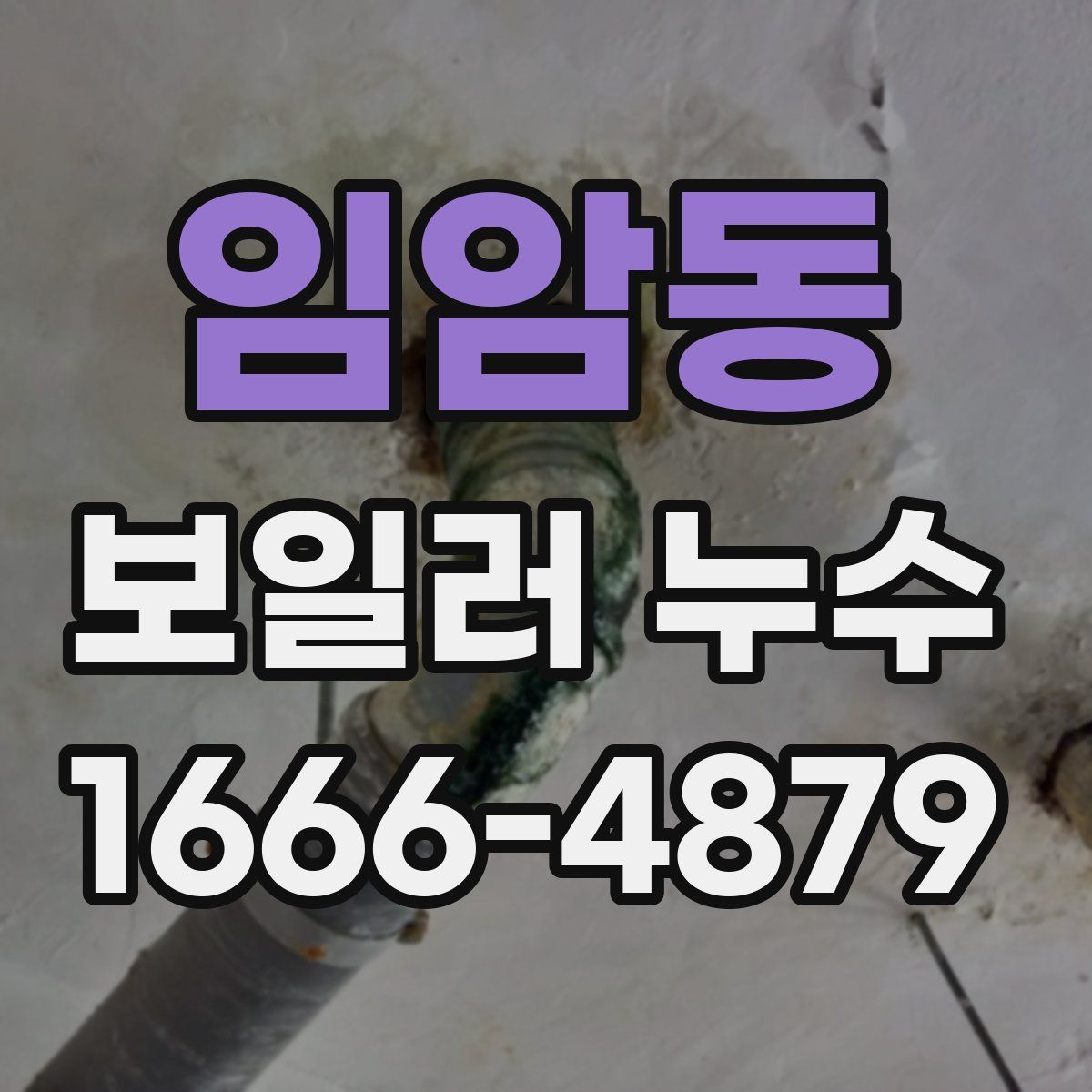 임암동 보일러 누수