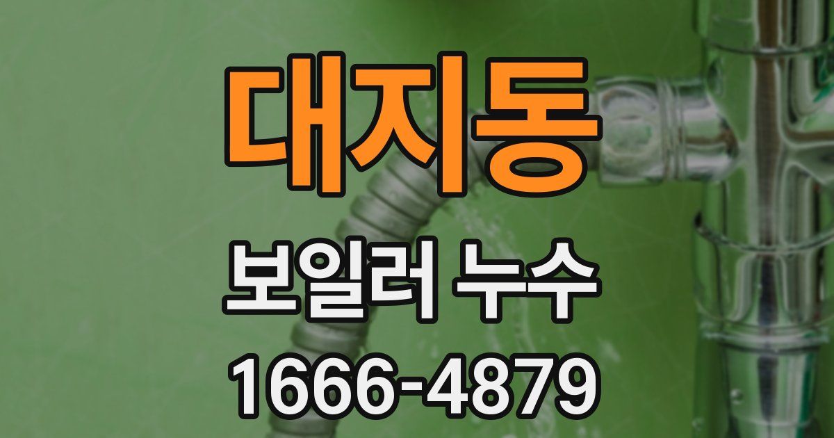 대지동 보일러 누수