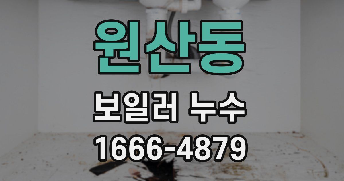 원산동 보일러 누수