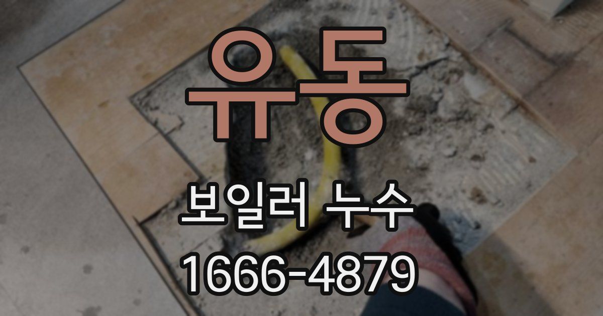 유동 보일러 누수