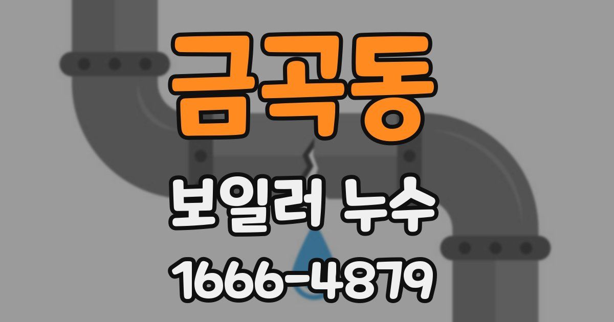 금곡동 보일러 누수