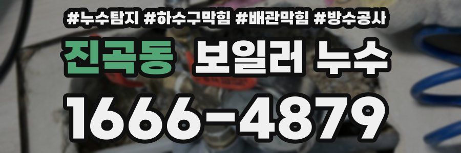 진곡동 보일러 누수